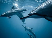 开云登录入口-Kaiyun网页版——开启高效办公与智能云服务的新体验